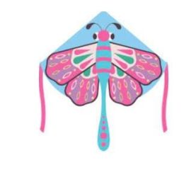 Beautiful Butterfly Kite