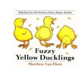 Fuzzy Yellow Ducklings