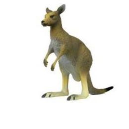 Australian Eastern Grey Large Kangaroo