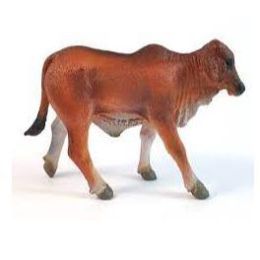 Collecta Brahman Calf Red Baby