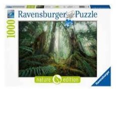 Ravensburger 1000pc In The Forest