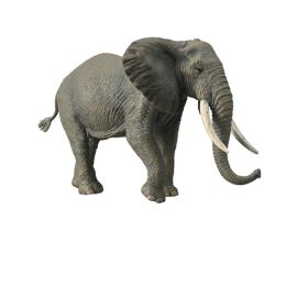 Collecta African Elephant